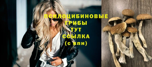 эйфоретик Аркадак