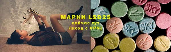 эйфоретик Аркадак