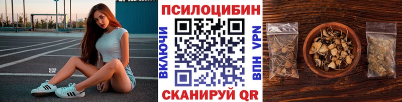 купить наркотик  блэк спрут ONION  Галлюциногенные грибы Magic Shrooms  Зубцов 
